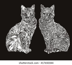 cat line drawing illustration