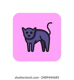 Cat line icon. Frightened, pet, mammal. Halloween concept. Vector illustration can be used for topics like feline, afraid, animal