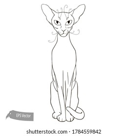 Cat line illustration. Vector. black and white. Ink style illustration. Hand drawn. Sketch 