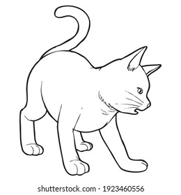 cat line vector illustration,
isolated on white background.animals top view