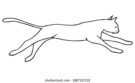 cat line vector illustration,isolated on white background,animals top view