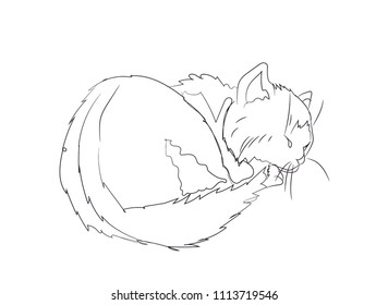 cat lines, vector, white background