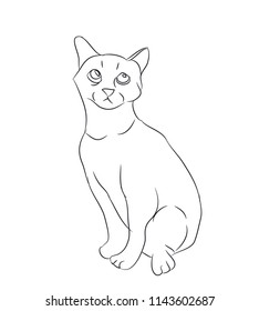 cat lines, vector, white background