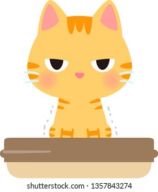 Cat in a cat litter box
