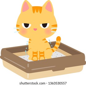 Cat in a cat litter box