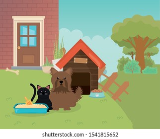 cat litter box and dog with house fence garden pet care vector illustration