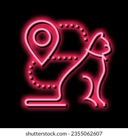 información de ubicación del gato, vector de signo de luz de neón. ilustración de información de ubicación del gato