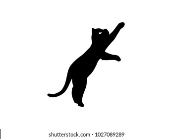 Cat logo black isolate on white background. Cat vector template concept illustration.