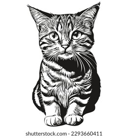 Cat logo, black and white illustration hand drawing kitten
