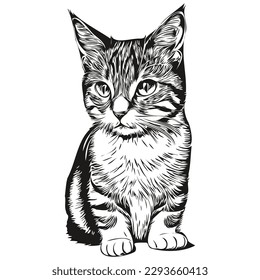 Cat logo, black and white illustration hand drawing kitten
