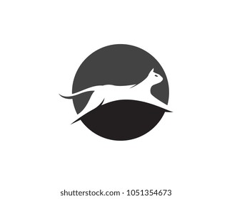 Cat Logo design vector illustration design template