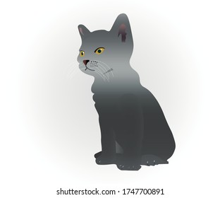 Cat Logo design vector template. Home pets care veterinary clinic Logotype concept icon EPS 10.
