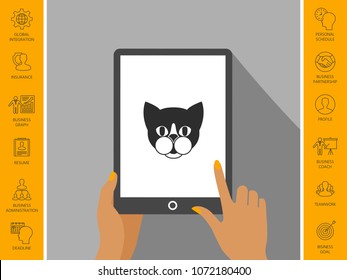 Cat - logo, protect sign icon