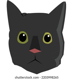 cat logo used to sell cat necessities