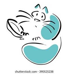 Cat looking for food