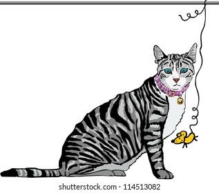 Cat looking for a mouse hanging
