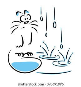 Cat looking at the rain