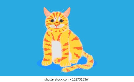 cat looking something and sitting on pastel blue color background. vector illustration eps10