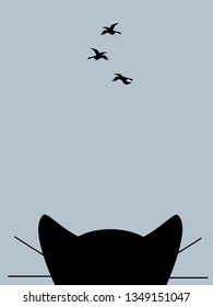 Cat looks at the crows