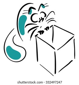 Cat looks into the box