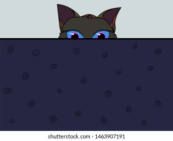 The cat looks out from behind the screen and watches the owner.