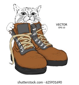 The cat looks out from behind the shoes. Hand drawn shoe. Shoe in retro style,  Walk Concept. Vector illustration