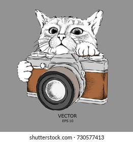 The cat looks out from behind the vintage camera. Hand drawn style. Vector illustration