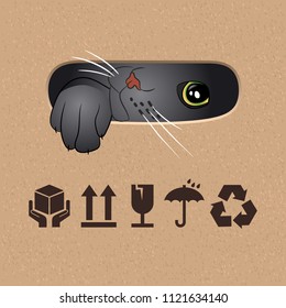 Cat looks out the slit cardboard box. Icons for box. Vector illustration.