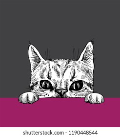 The cat looks out from under a table, vector illustration