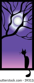 The cat looks out of the window at night