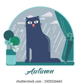 Cat looks at the rain in autumn vector illustration
