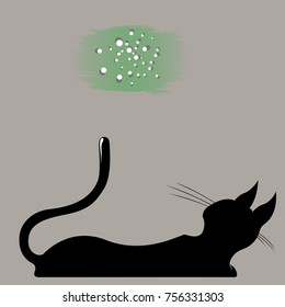 the cat looks up at the stars