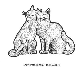 Cat love couple hug