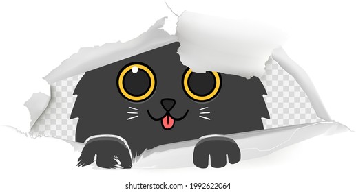 Cat lover Vector Illustration for T-shirt vector, Coffee Mug, Poster, Sticker, Pattern, Pillow Cover, Musk Design