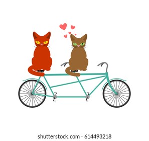 Cat Lovers On Tandem. Lover  Of Cycling. Joint Walk On Street. Pet Romantic Date. Cats Lifestyle
