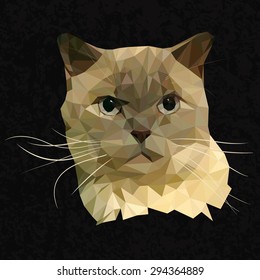 cat low poly  