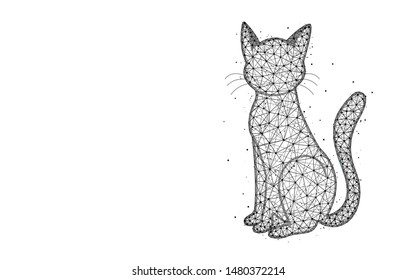 Cat low poly design, animal abstract geometric image, pet wireframe mesh polygonal vector illustration made from points and lines on white background