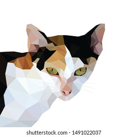 Cat low poly design. Polygonal art style. Modern geometric graphic. Triangle vector illustration.