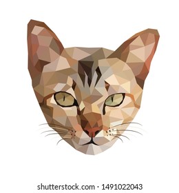 Cat low poly design. Polygonal art style. Modern geometric graphic. Triangle vector illustration.