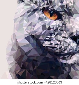 Cat low poly illustration