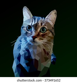 cat low poly on a dark background. vector illustration