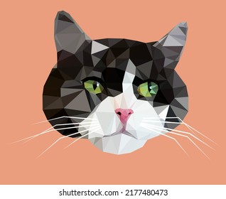 Cat in low poly style. Polygonal grey cat