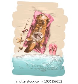 cat lying belly up on a towel surrounded by shells and things on the beach near the sea top view sketch vector graphics colored drawing