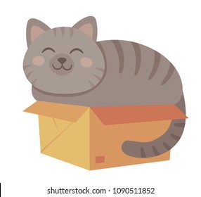 Cat Lying In A Cardboard Box. Moving And Pets. Big Cat Little Box