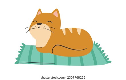 Cat Lying On Mat Vector Illustration