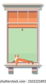 Cat lying on windosill. Wooden frame of neighbor window