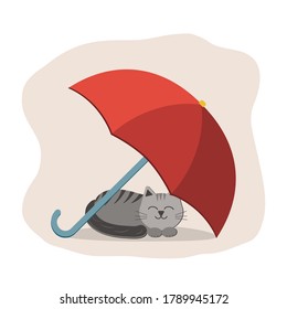 Gato bajo un paraguas, ilustración de vector de color en estilo plano, sobre fondo blanco, clipart, diseño, decoración, impresión