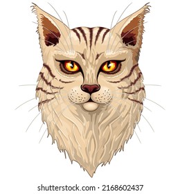 Katze Main Coon Portrait mit großen orangefarbenen Augen. Original Vektorgrafik-Design-Illustration einzeln auf Weiß