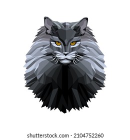 cat maine coon lowpoly style vector illustration design