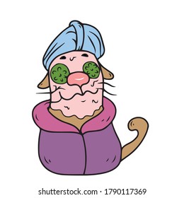 The cat makes a face mask. Body care.Vector design for greeting cards banners
